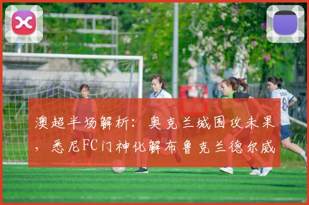 澳超半场解析：奥克兰城围攻未果，悉尼FC门神化解布鲁克兰德尔威胁