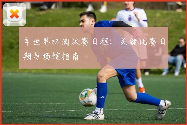 年世界杯淘汰赛日程：关键比赛日期与场馆指南